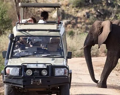 Safari Game Drive
